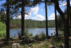 photo thumbnail #12