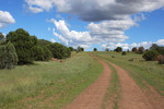 photo thumbnail #14