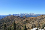 photo thumbnail #9