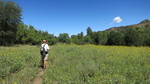 photo thumbnail #4