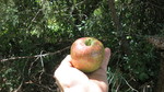 photo thumbnail #6