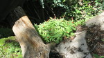 photo thumbnail #14