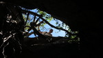 photo thumbnail #15