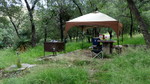 photo thumbnail #2