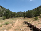 photo thumbnail #11