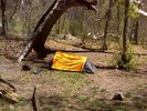 photo thumbnail #7