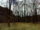 photo thumbnail #11