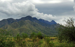photo thumbnail #2