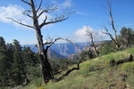 photo thumbnail #7