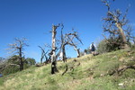 photo thumbnail #8