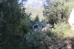photo thumbnail #10