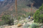 photo thumbnail #14