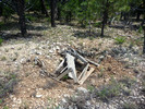 photo thumbnail #11