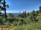 photo thumbnail #12