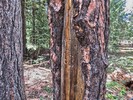 photo thumbnail #15