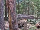 photo thumbnail #14