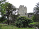 photo thumbnail #4