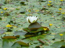 photo thumbnail #10