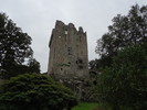 photo thumbnail #11