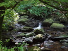 photo thumbnail #13