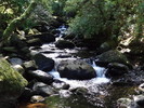 photo thumbnail #11