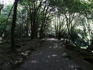 photo thumbnail #14