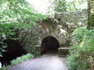 photo thumbnail #15