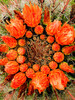 photo thumbnail #15