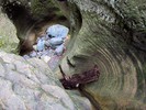photo thumbnail #11