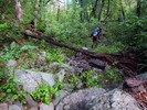 photo thumbnail #3