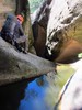 photo thumbnail #13