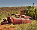 photo thumbnail #1