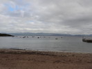 photo thumbnail #11