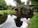 photo thumbnail #1