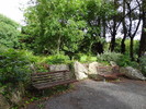 photo thumbnail #9