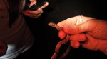 photo thumbnail #2