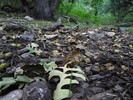 photo thumbnail #1