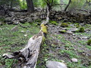 photo thumbnail #4