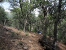 photo thumbnail #8