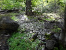 photo thumbnail #9