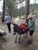 photo thumbnail #3