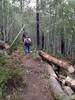 photo thumbnail #9