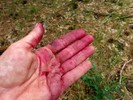 photo thumbnail #5