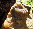 photo thumbnail #10