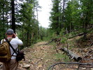 photo thumbnail #9