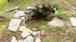 photo thumbnail #12