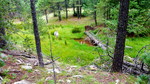 photo thumbnail #14