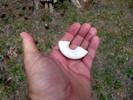 photo thumbnail #15