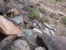 photo thumbnail #2