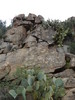 photo thumbnail #4